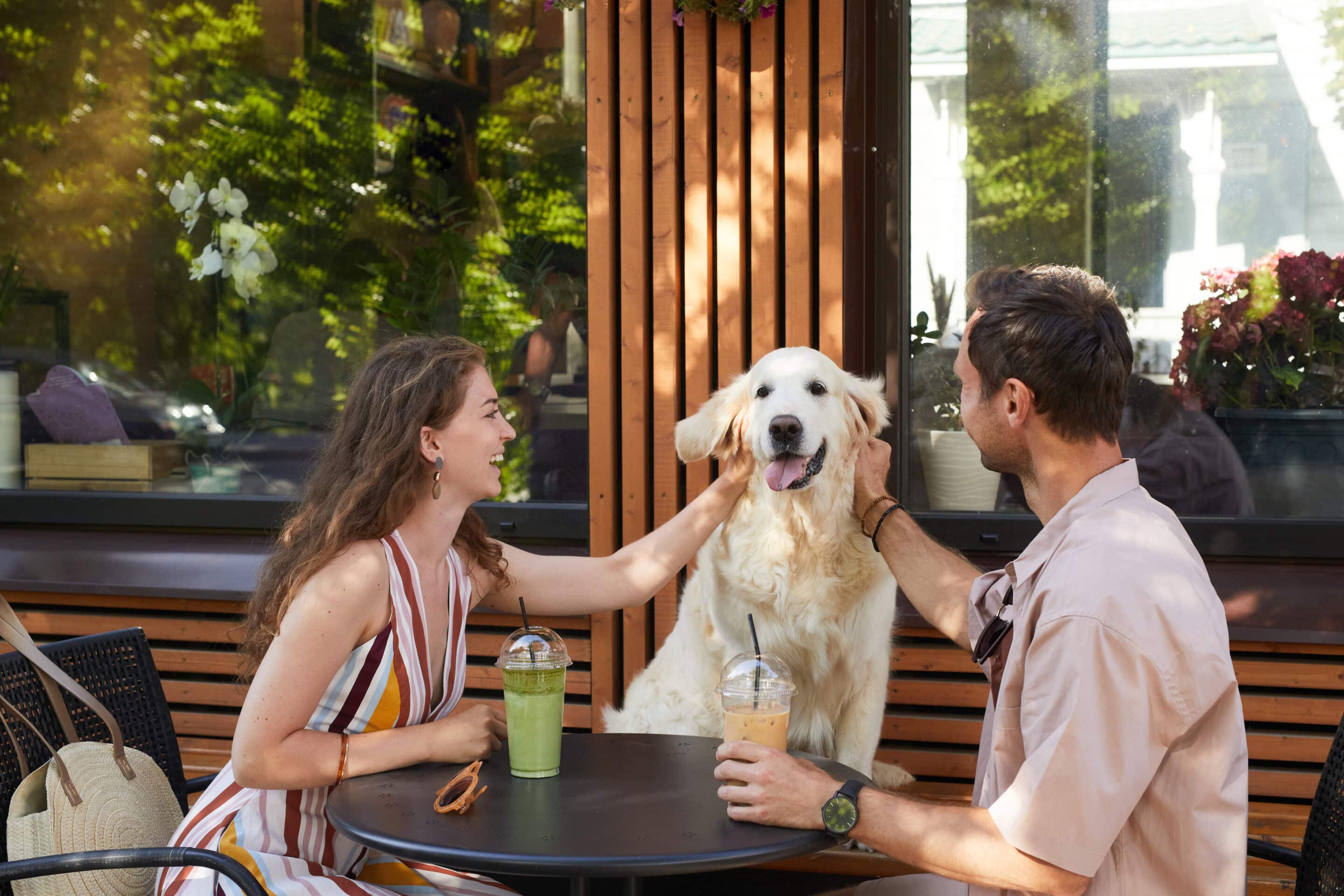 Happy couple with dog at a cafe