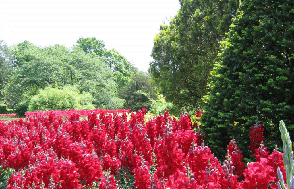 Longwood Gardens