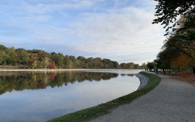 Brookline