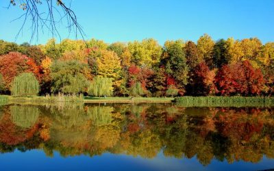 Falls Church