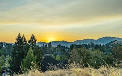 Walnut Creek