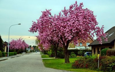 All About the burbs: February 5-7, 2016