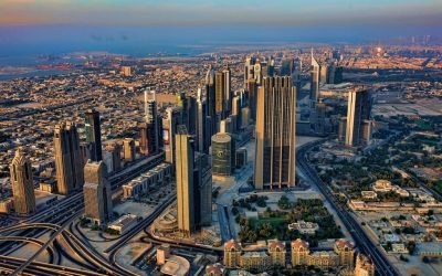 What is the suburban jungle Anyway?​
