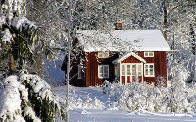 Out & About in the ‘burbs This Weekend: January 9-11, 2015