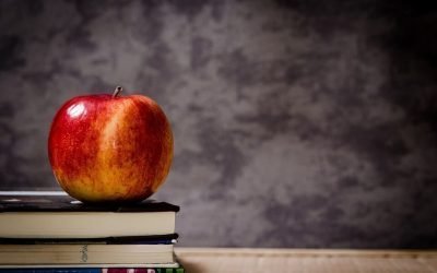 The decisions AFTER the decision to move to suburbia…​