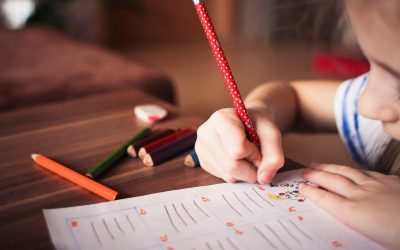 Understanding the Chicago Suburbs’ Dual Language Program​