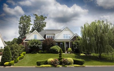 Out & About in the ‘burbs This Weekend:  August 1-3, 2014