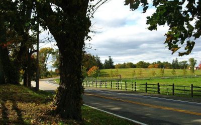​Discover Westchester: Living in Briarcliff Manor, NY