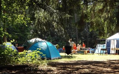Suburban Day Camp Series: This Week…Pierce Country Day camp in Roslyn!​