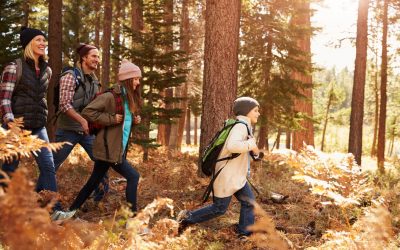 5 Amazing Bay Area Suburbs for Families That Love the Outdoors