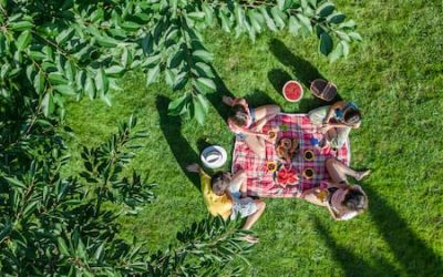 Explore the Long Island, NY Suburbs By Having a Picnic!
