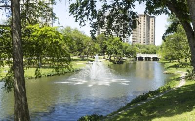 Discover Dallas County: An Urban-Meets-Suburban Hotspot with Something for Everyone