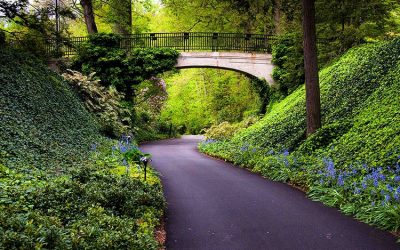 Stroll These Stunning Gardens in the Philadelphia Suburbs