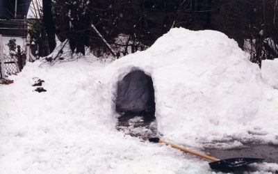 Cold Weather Freezing Out Home Sales?