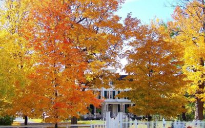 Spring Market is not the ONLY time to take house hunting seriously…