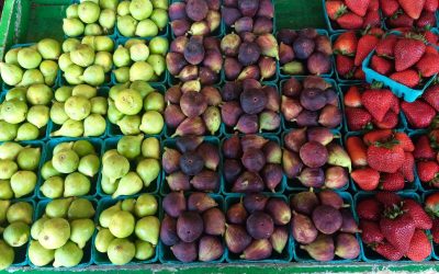 What Farmers Markets say about a Town​