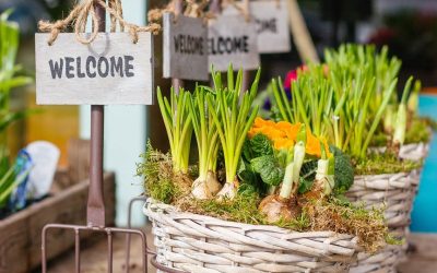 Get your hands dirty with an organic vegetable garden​