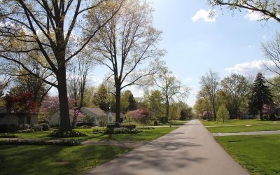 All About the burbs: February 19-21, 2016