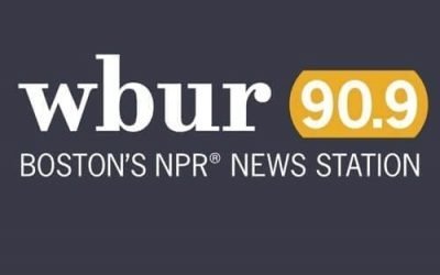 Suburban Jungle Founder & President Alison Bernstein Featured on WBUR
