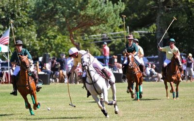 Head to the Boston Suburbs This Weekend! 