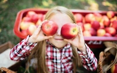 Feeling Festive? Have Some Fun in the Boston Suburbs this Fall.