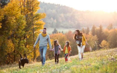 15 Top Fall Foliage Spots in the NYC Suburbs 