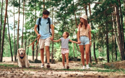 Find Your Stride: Hiking in Westchester County