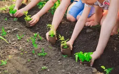 5 Ways to Celebrate Earth Day in Westchester 