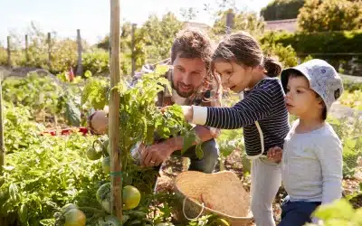 7 Sustainable Towns in the NYC Suburbs 