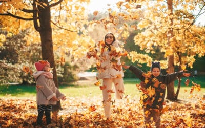 Fall Color Hotspots