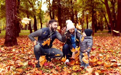 Fall Foliage in the NYC Suburbs