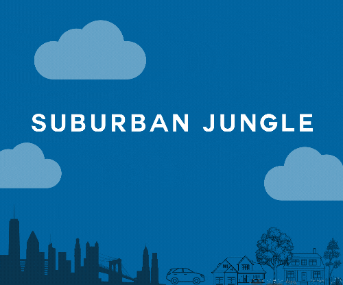 Suburban_Jungle_blue_logo.not_all_suburbs_are_the_same Not all suburbs are the same
