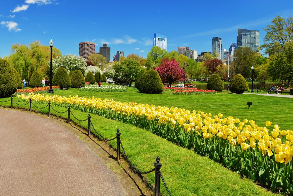 Boston Public Garden and City Skyline in the Spring