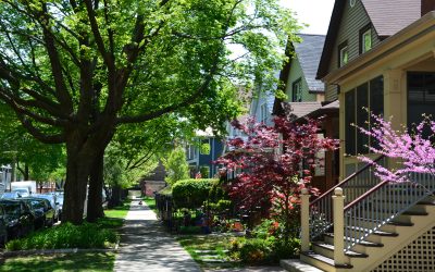 Discover Your Perfect Chicago Suburban Oasis with Suburban Jungle