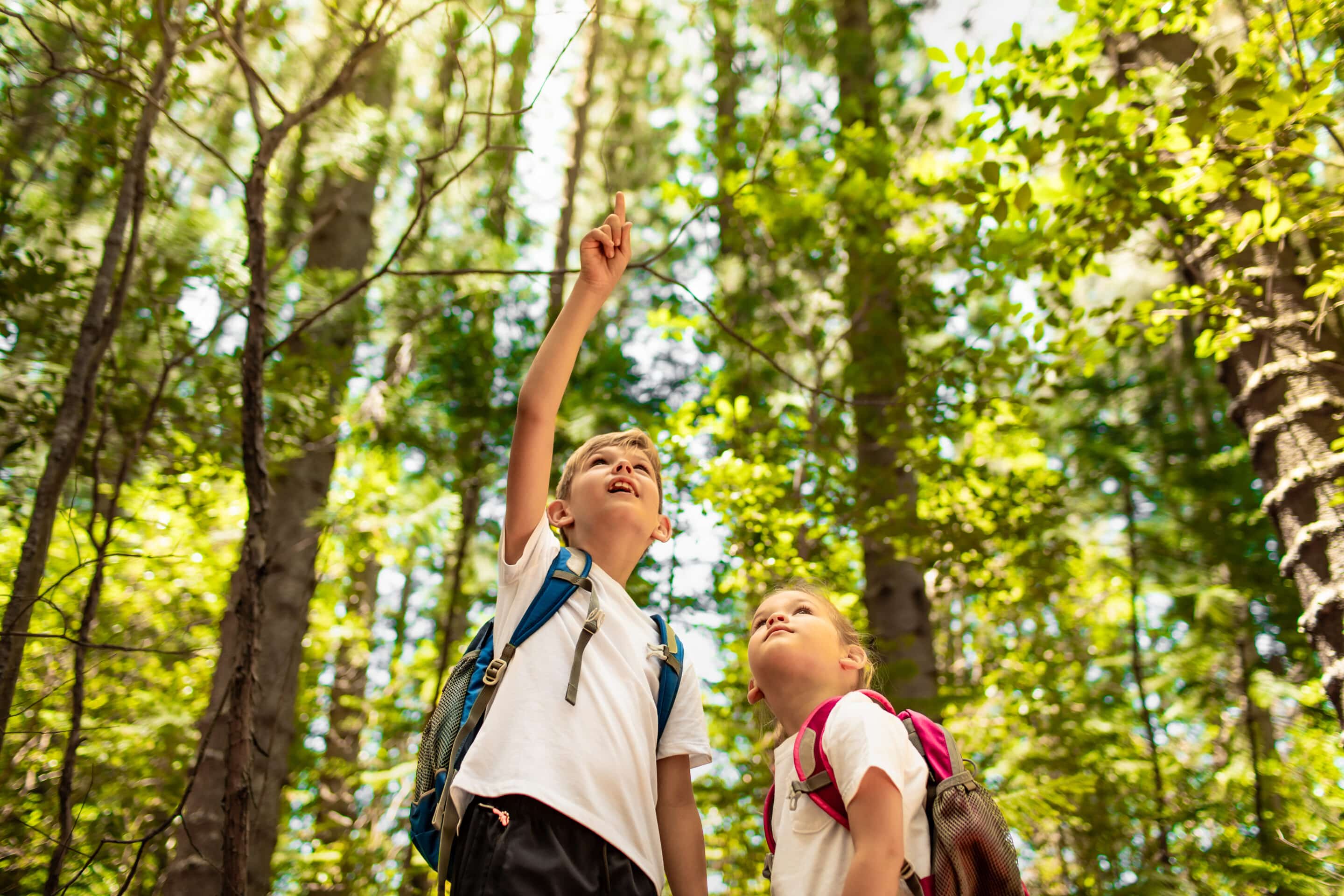 Children exploring nature