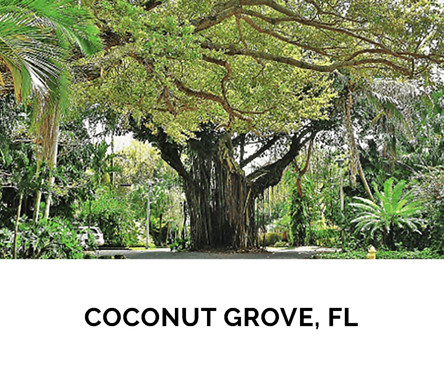2. COCONUT GROVE, FL_1