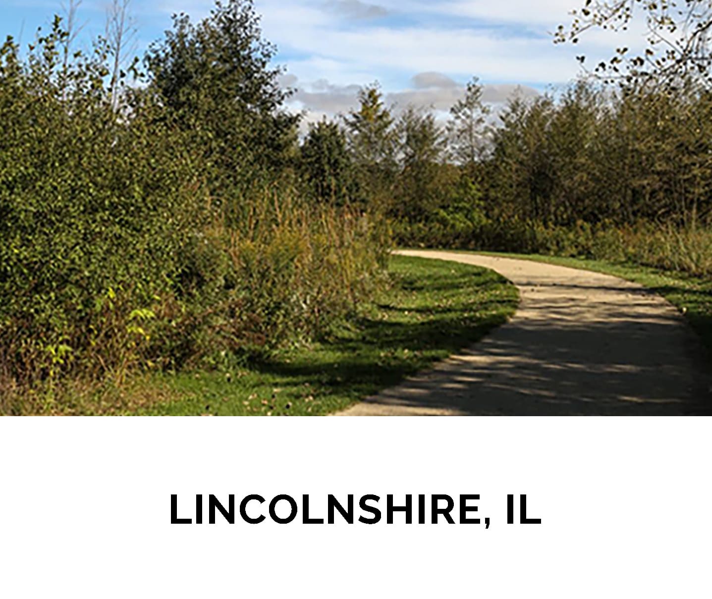 8. LINCOLN SHIRE, IL_1