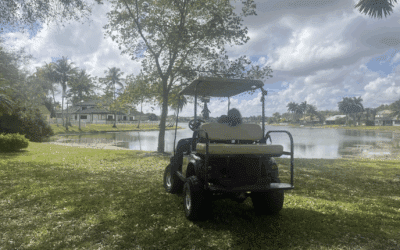 Seventeen Years in the Making