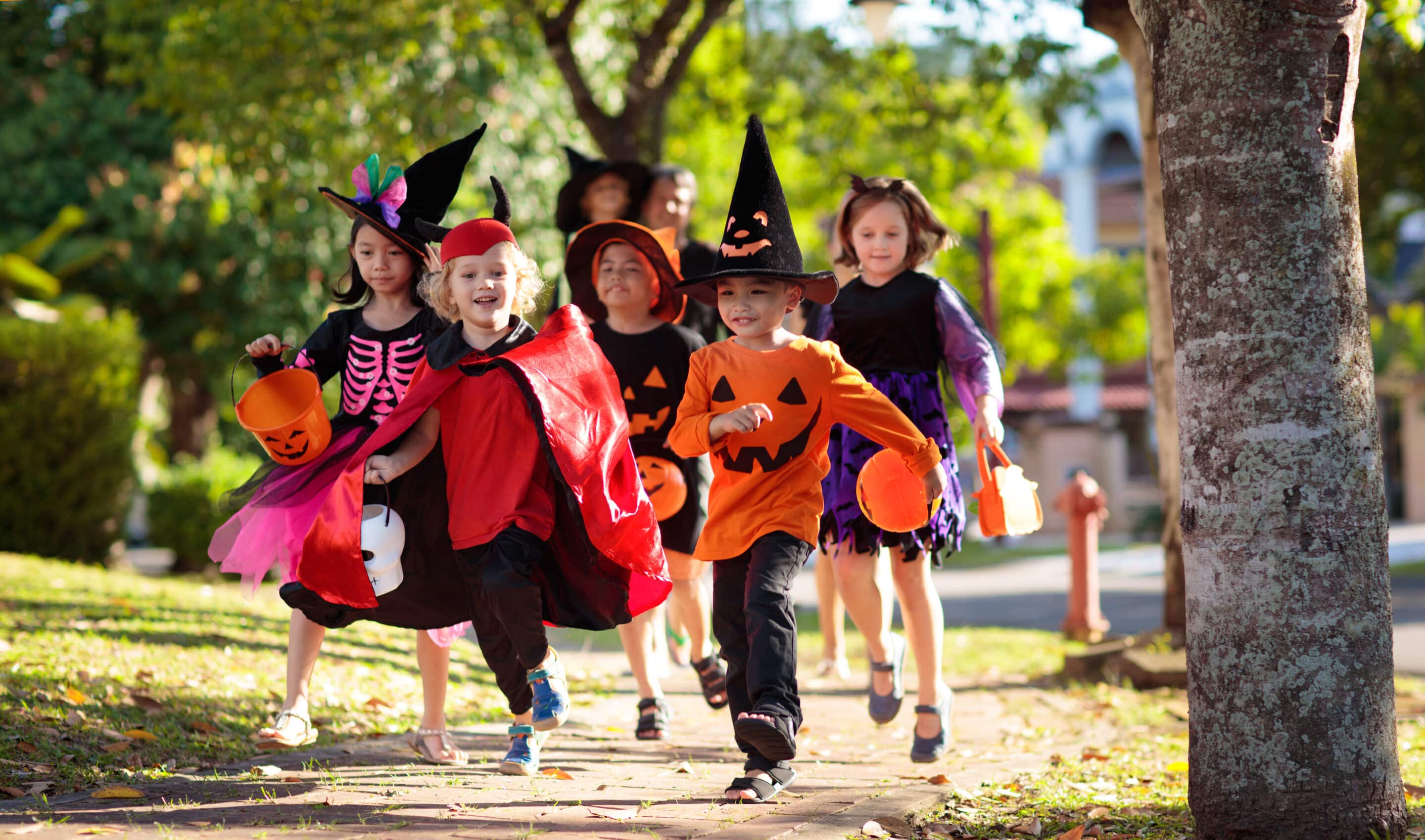 Halloween in the New Jersey Suburbs Children in Halloween costumes carrying trick-or-treat buckets through a suburban neighborhood